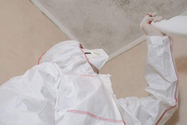 Best Mold Damage Repair  in Red Springs, NC